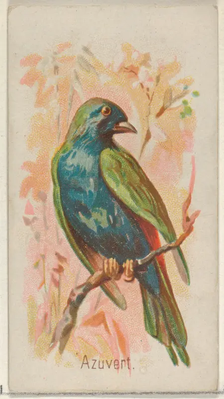 Azuvert, from the Song Birds of the World series (N23) for Allen & Ginter Cigarettes Wall Art by Allen & Ginter - High-Resolution Digital Print