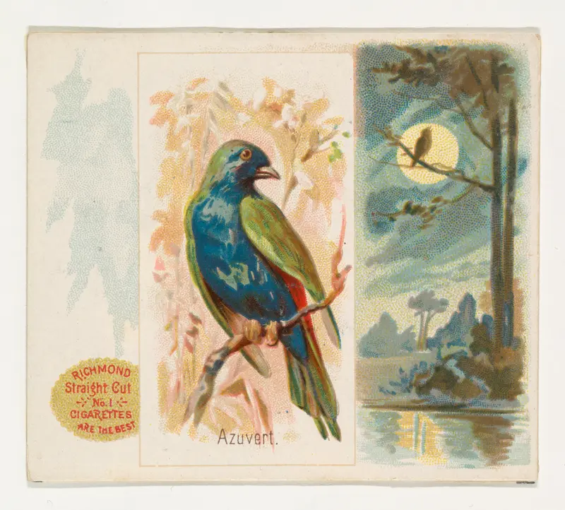Azuvert, from the Song Birds of the World series (N42) for Allen & Ginter Cigarettes Wall Art by Allen & Ginter - High-Resolution Digital Print