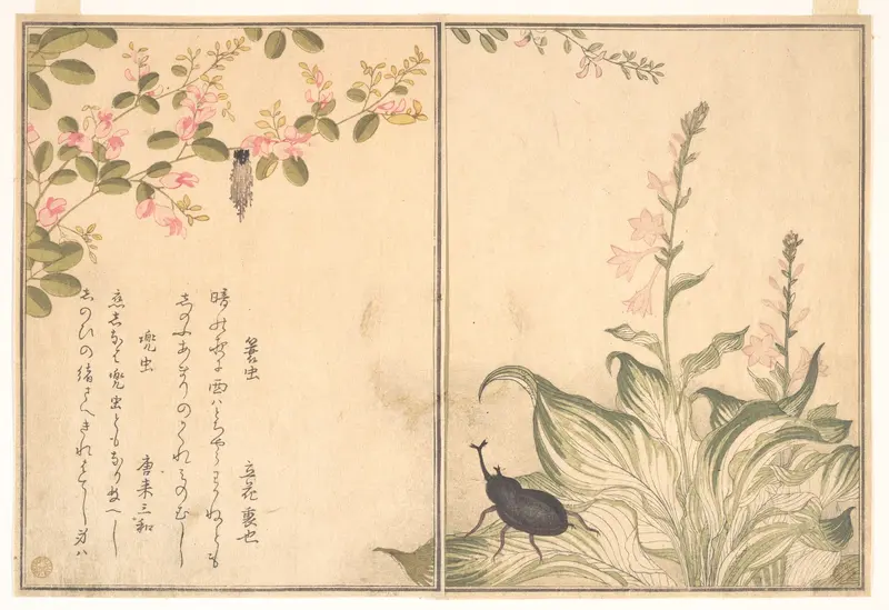 Bagworm (Minomushi); Horned Scarab Beetle (Kabutomushi), from the Picture Book of Crawling Creatures (Ehon mushi erami) Wall Art by Kitagawa Utamaro - High-Resolution Digital Print