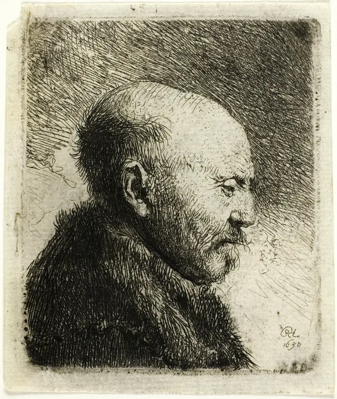 Bald Headed Man in Profile Right: The Artist's Father (?) Wall Art by Rembrandt van Rijn - High-Resolution Digital Print
