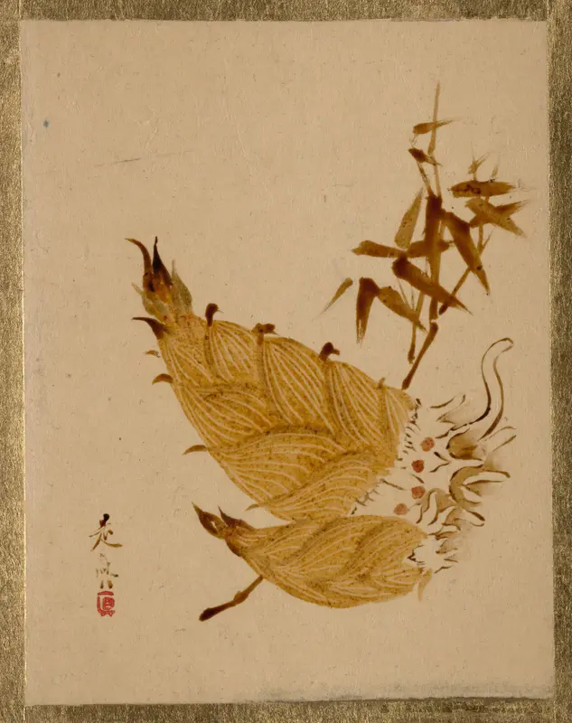 Bamboo Shoots