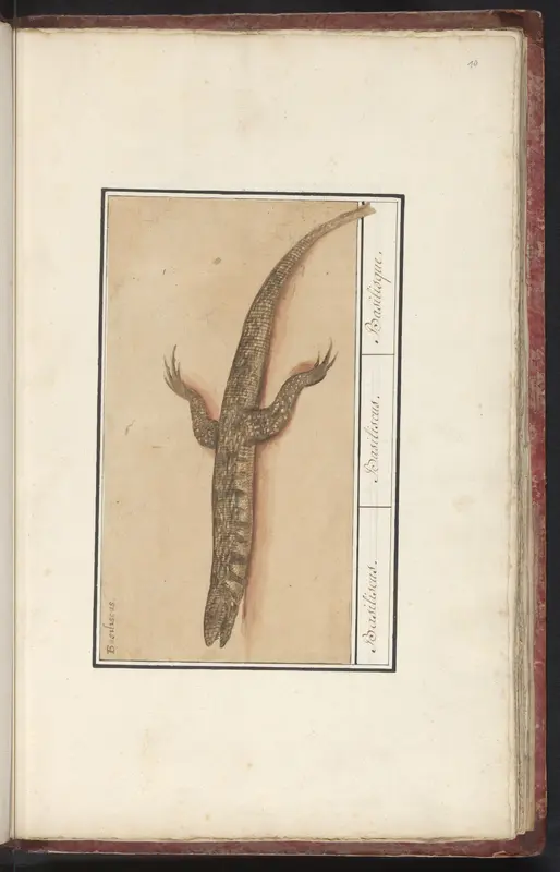 Basilisk Wall Art by Anselmus Boëtius de Boodt - High-Resolution Digital Print