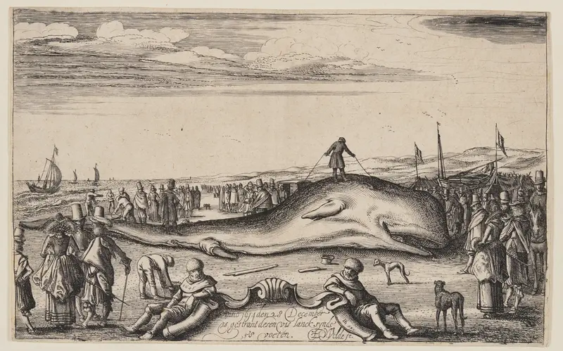 Beached Sperm Whale at Noordwijk Wall Art by Esaias van den Velde, I - High-Resolution Digital Print