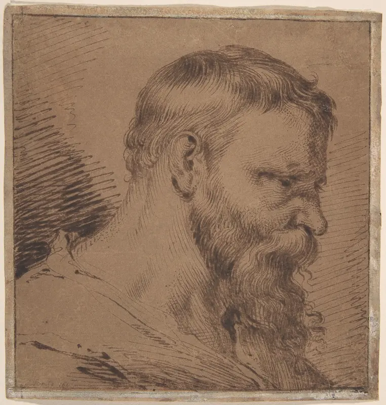 Bearded Head, Looking Down to the Right Wall Art by Jacques de Gheyn, III - High-Resolution Digital Print