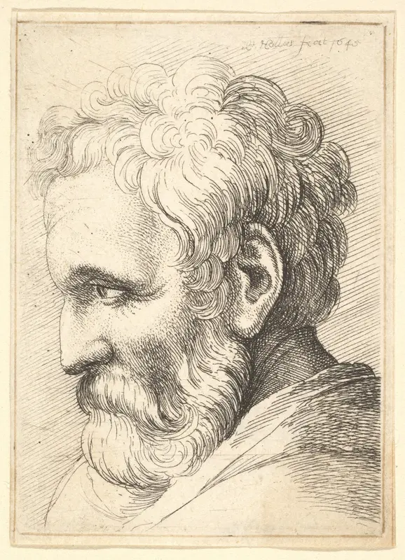 Bearded old man Wall Art by Wenceslaus Hollar - High-Resolution Digital Print