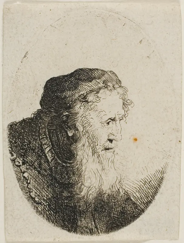Bearded Old Man in a Skull Cap Wall Art by Ferdinand Bol - High-Resolution Digital Print