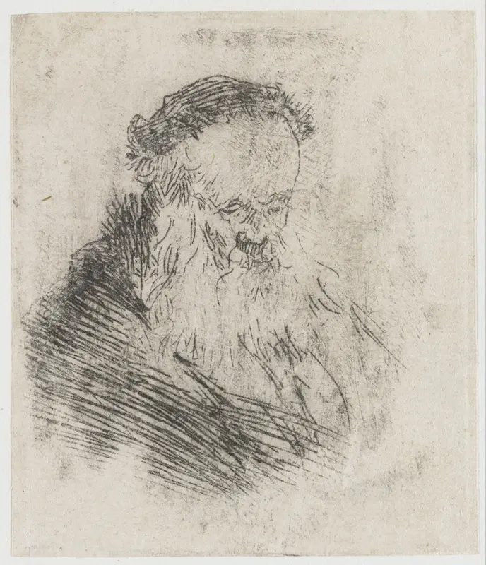 Bearded Old Man with High Forehead Wall Art by Rembrandt van Rijn - High-Resolution Digital Print