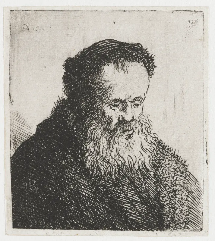 Bebaarde oude man met hoog voorhoofd Wall Art by anonymous - High-Resolution Digital Print