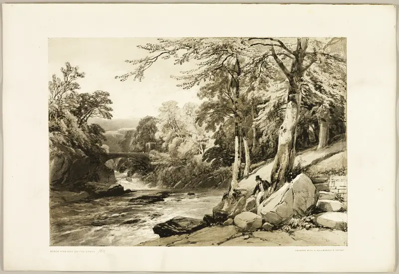 Beech and Ash on the Greta, from The Park and the Forest Wall Art by James Duffield Harding - High-Resolution Digital Print