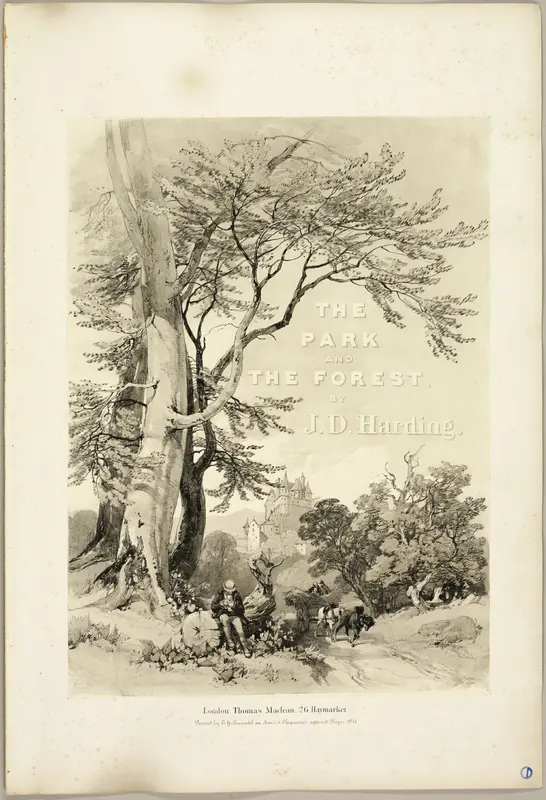 Beech and Oak (Frontispiece), from The Park and the Forest Wall Art by James Duffield Harding - High-Resolution Digital Print