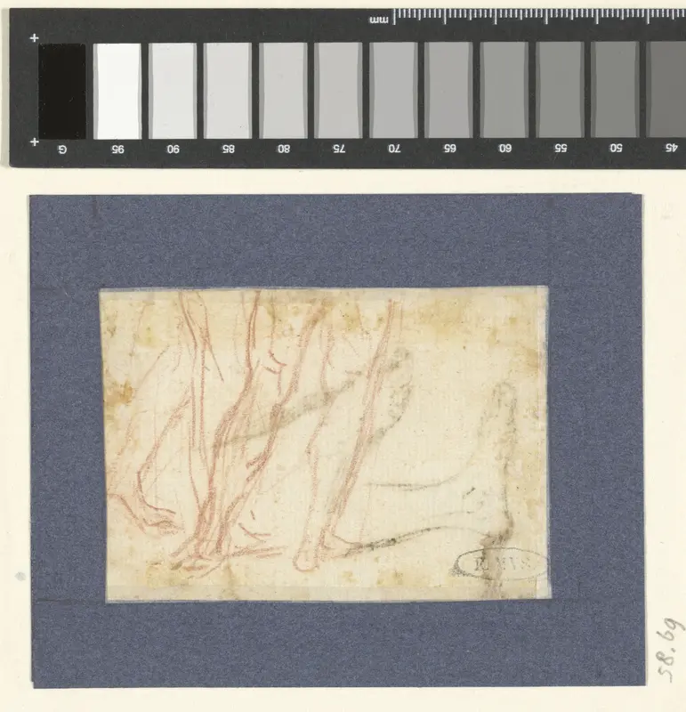 Beenstudies Wall Art by Unknown - High-Resolution Digital Print