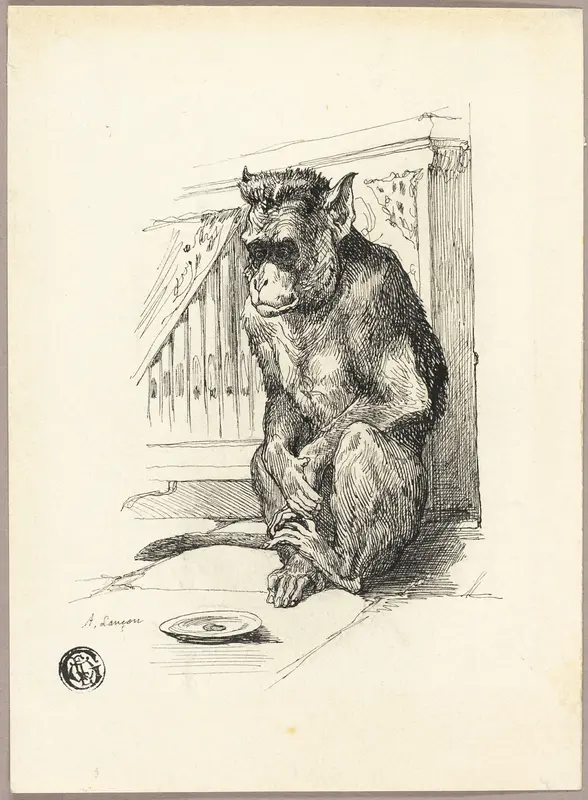 Begging Monkey