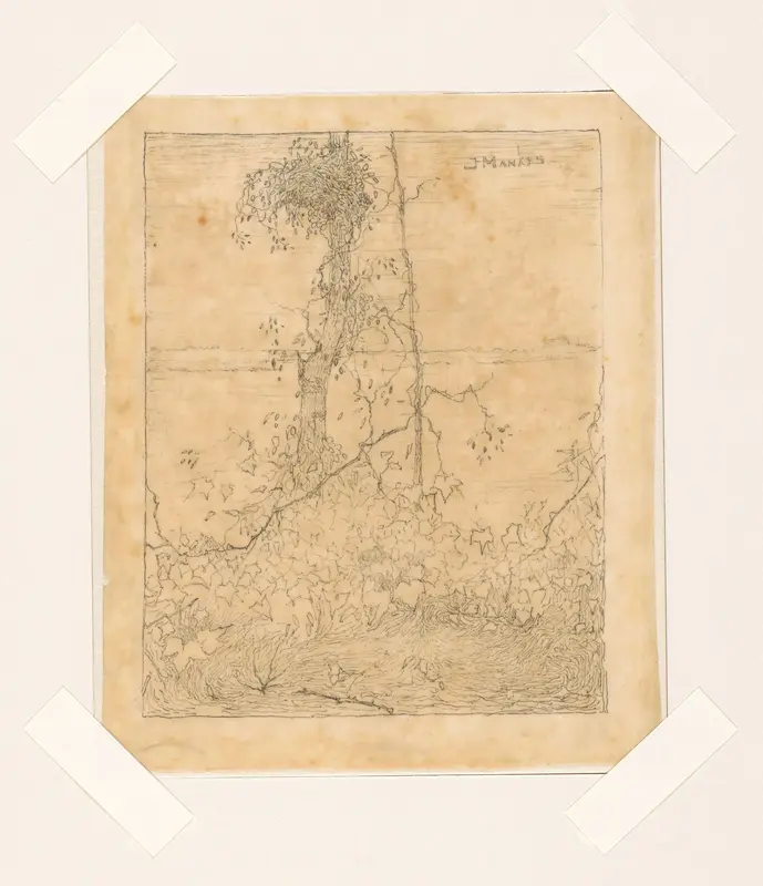 Begroeide boomstam Wall Art by Unknown - High-Resolution Digital Print