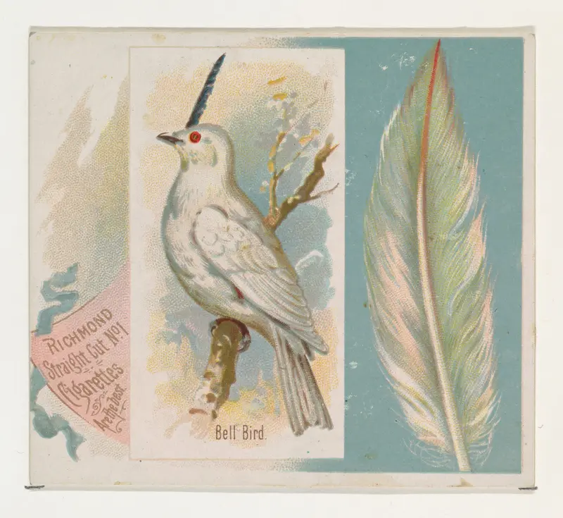 Bell Bird, from the Song Birds of the World series (N42) for Allen & Ginter Cigarettes Wall Art by Allen & Ginter - High-Resolution Digital Print