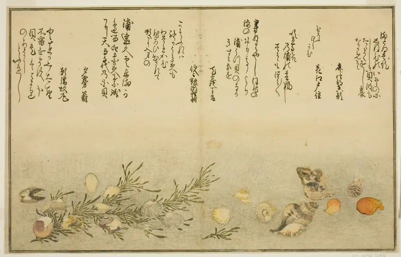 Beni-gai, hora-gai, urauzu-gai, wasure-gai, chiyonohana-gai, and masuho-gai, from the illustrated book "Gifts from the Ebb Tide (Shiohi no tsuto)"