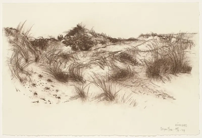 Bergen aan Zee, duinlandschap Wall Art by Unknown - High-Resolution Digital Print