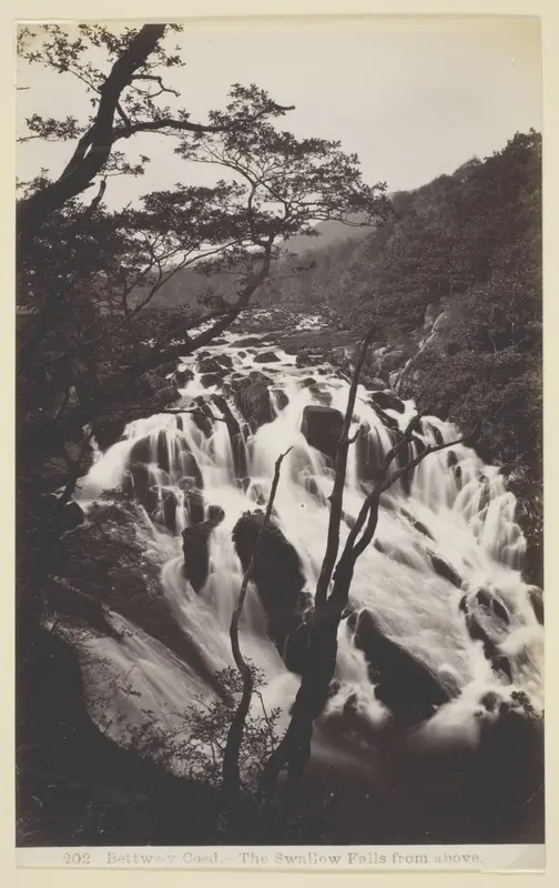 Bettw-s-y Coed, The Swallow Falls from Above Wall Art by Francis Bedford - High-Resolution Digital Print
