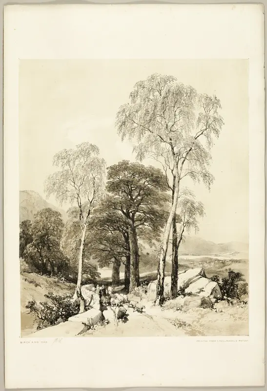 Birch and Oak, from The Park and the Forest Wall Art by James Duffield Harding - High-Resolution Digital Print