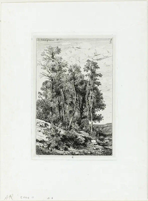Birches and Oaks Wall Art by Henri Joseph Harpignies - High-Resolution Digital Print