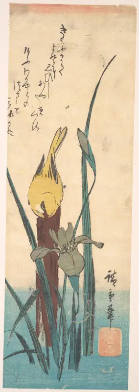 Bird and Iris