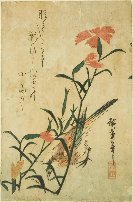 Bird and wild carnation