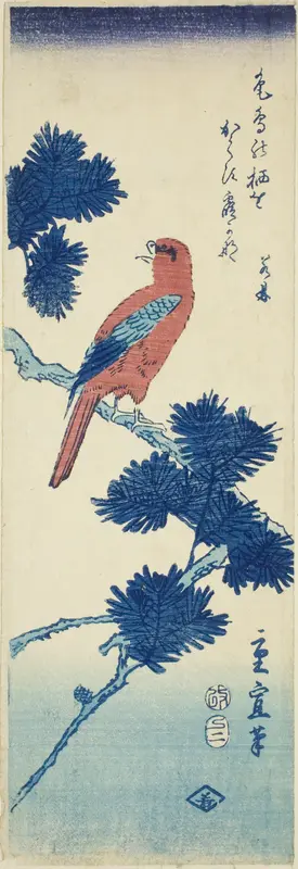 Bird on pine tree