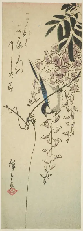 Bird on wisteria