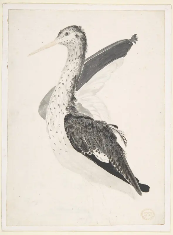 Bird, Perhaps an Egret, Seen in Profile with One Wing Lifted Wall Art by Count Giorgio Durante (Duranti) - High-Resolution Digital Print