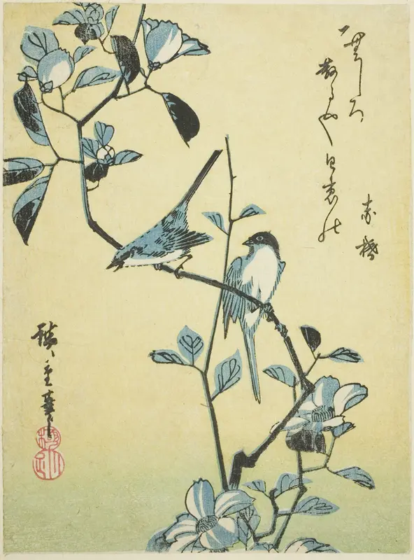 Birds on camellia branch