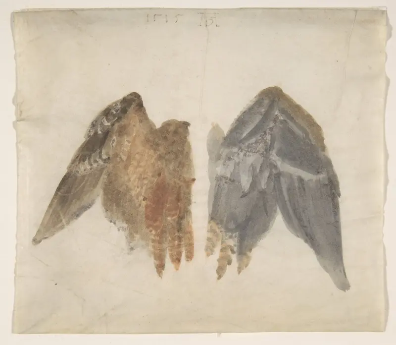 Bittern's Wings: study showing both sides Wall Art by Albrecht Dürer - High-Resolution Digital Print