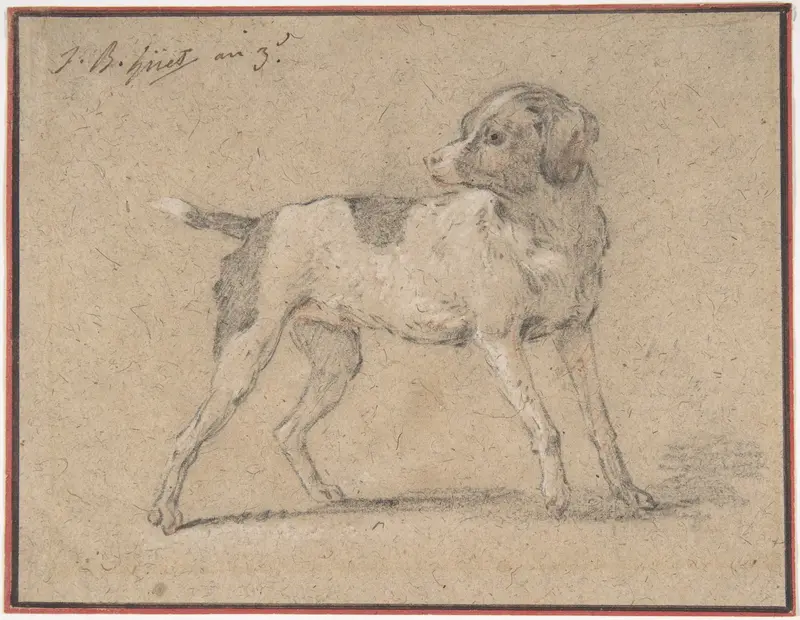 Black and White Dog, Head Turned to the Left