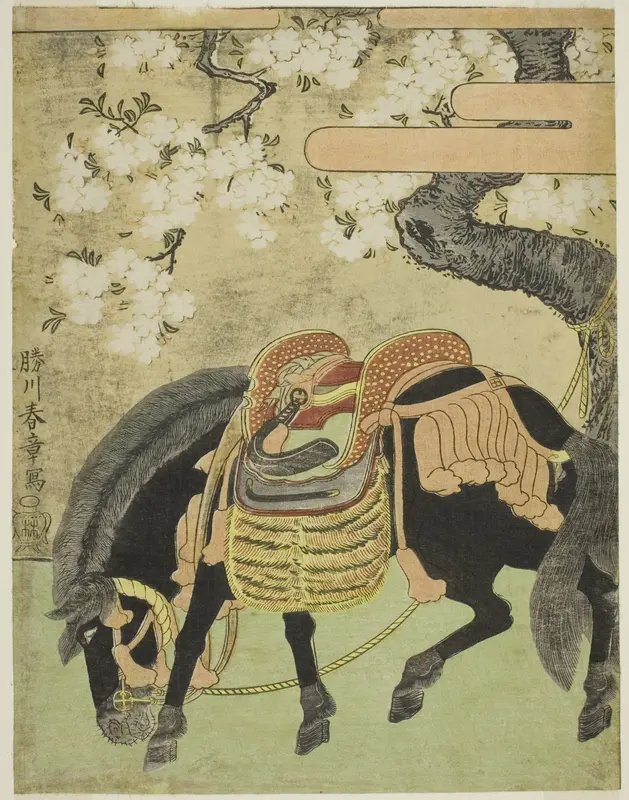 Black Horse Tethered under a Blossoming Cherry Tree Wall Art by Katsukawa Shunsho - High-Resolution Digital Print