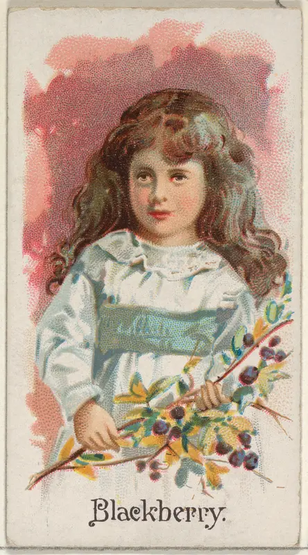 Blackberry, from the Fruits series (N12) for Allen & Ginter Cigarettes Brands Wall Art by Allen & Ginter - High-Resolution Digital Print
