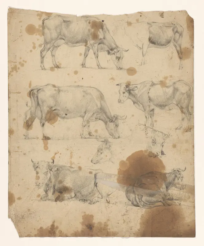 Blad met acht studies van koeien Wall Art by Jan Bedijs Tom - High-Resolution Digital Print