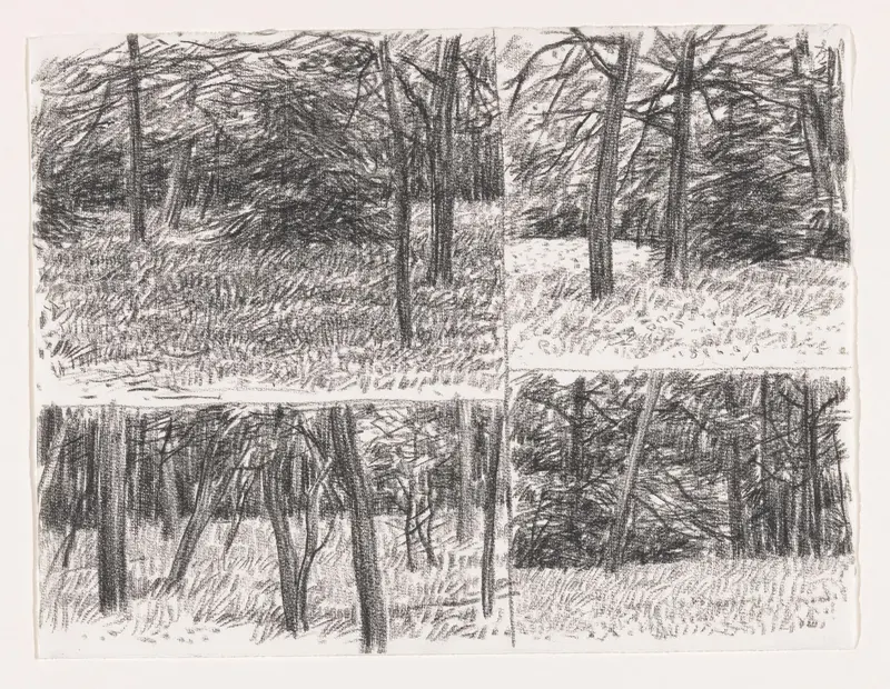 Blad met vier kaders waarin boslandschap Wall Art by Kees Stoop - High-Resolution Digital Print
