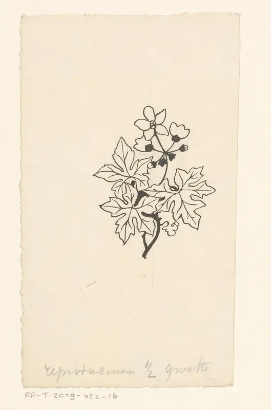 Bladeren en bloemen Wall Art by Willem Wenckebach - High-Resolution Digital Print