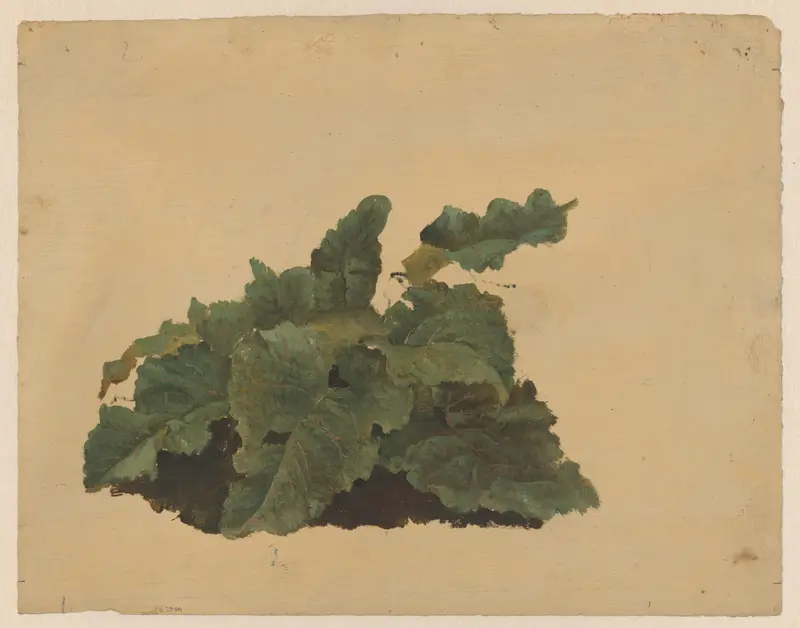 Bladeren van een Rabarberachtige plant Wall Art by Cornelis Johannes de Vogel - High-Resolution Digital Print
