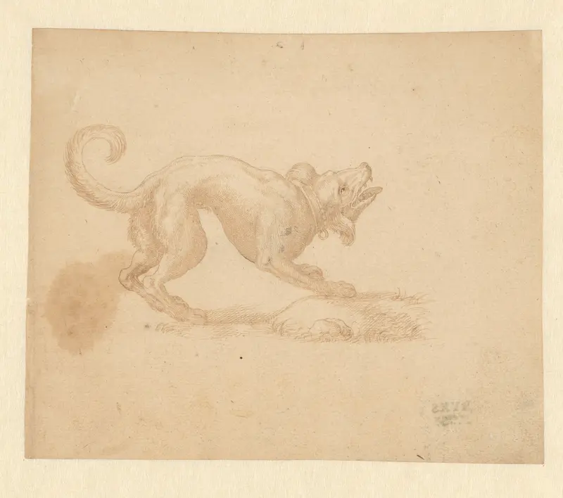 Blaffende hond, naar rechts Wall Art by anonymous - High-Resolution Digital Print