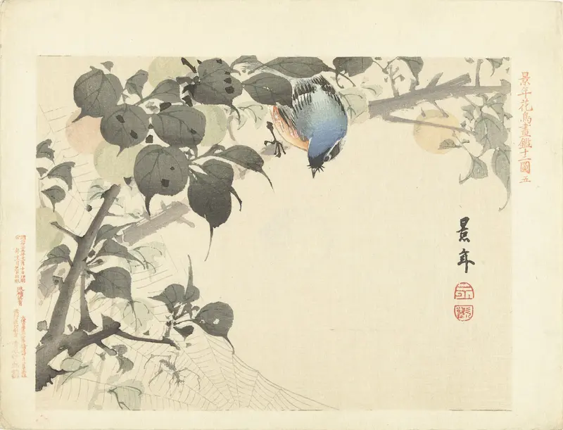 Blauw-oranje vogel op tak kijkend naar spin Wall Art by Aoki Kôsaburô - High-Resolution Digital Print