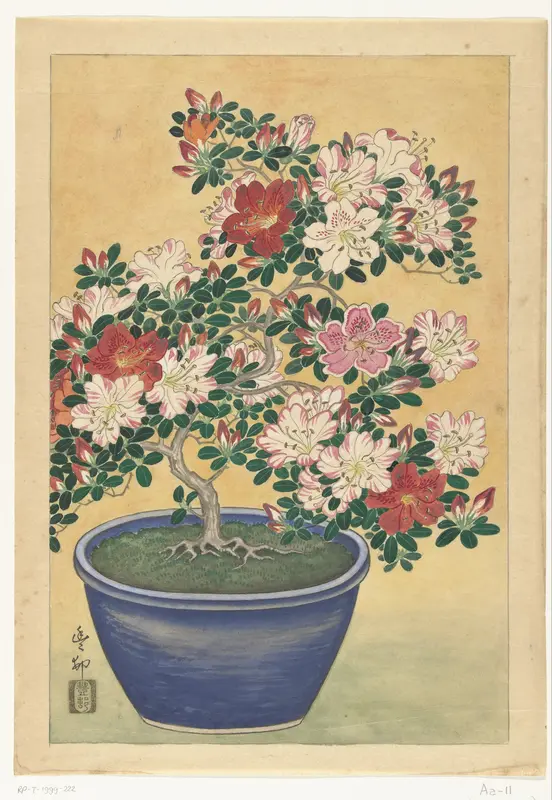 Bloeiende azalea in blauwe pot Wall Art by Unknown - High-Resolution Digital Print