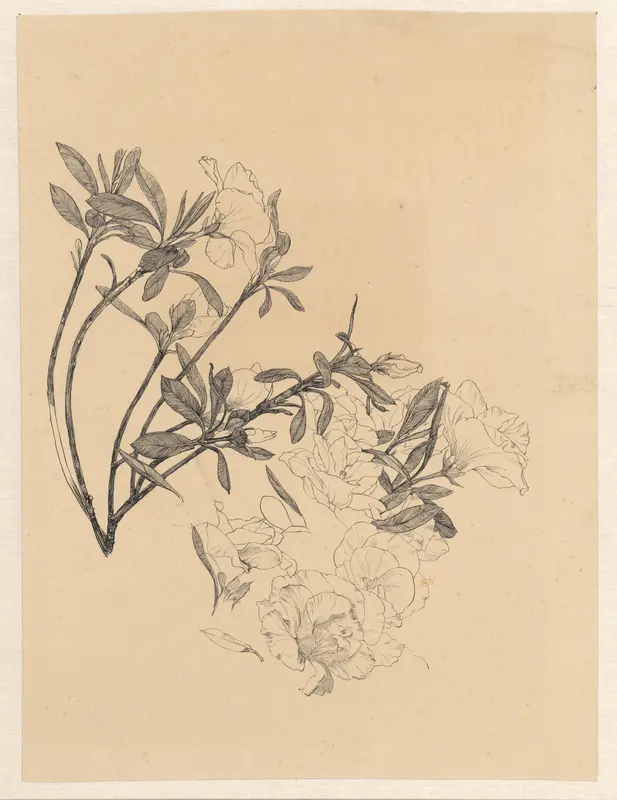 Bloeiende Azalea-takjes Wall Art by Johanna Quirina van Regteren Altena - High-Resolution Digital Print