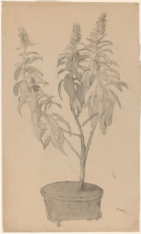 Bloeiende potplant Wall Art by Cornelis Gerardus 't Hooft (1791-1871) - High-Resolution Digital Print