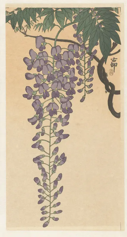 Bloeiende wisteria Wall Art by Unknown - High-Resolution Digital Print