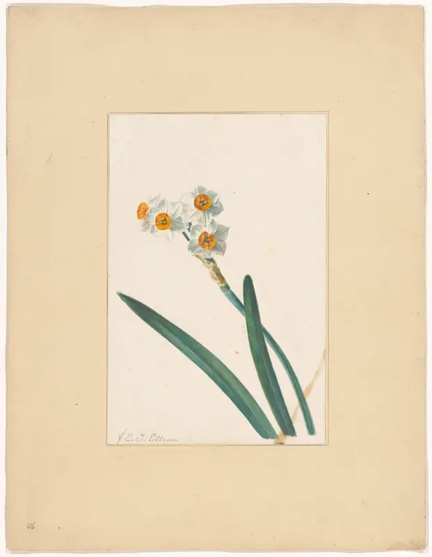 Bloem Wall Art by Eelke Jelles Eelkema - High-Resolution Digital Print