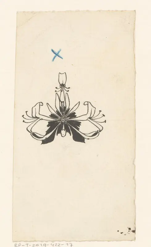 Bloem, mogelijk een lelie Wall Art by Willem Wenckebach - High-Resolution Digital Print
