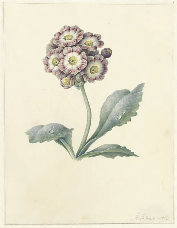 Bloemenstudie Wall Art by Maria Margaretha van Os - High-Resolution Digital Print