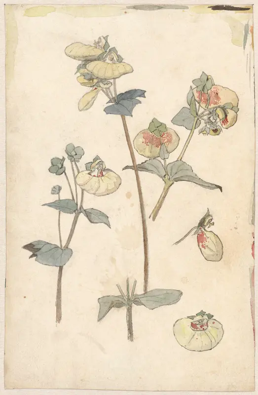 Bloemstudies Wall Art by Theo Nieuwenhuis - High-Resolution Digital Print