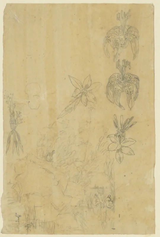 Bloemstudies en badende vrouwen Wall Art by Rodolphe Bresdin - High-Resolution Digital Print