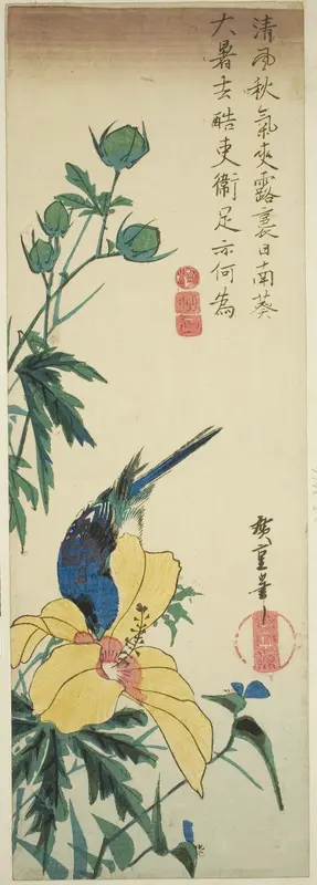 Blue bird and hibiscus