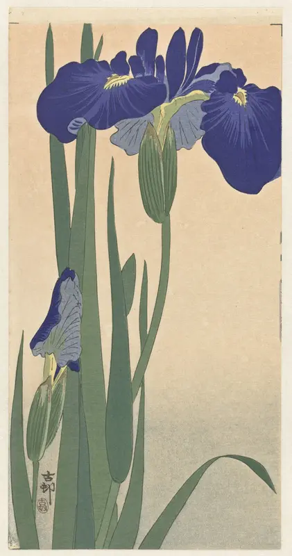 Blue Irises Wall Art by Unknown - High-Resolution Digital Print
